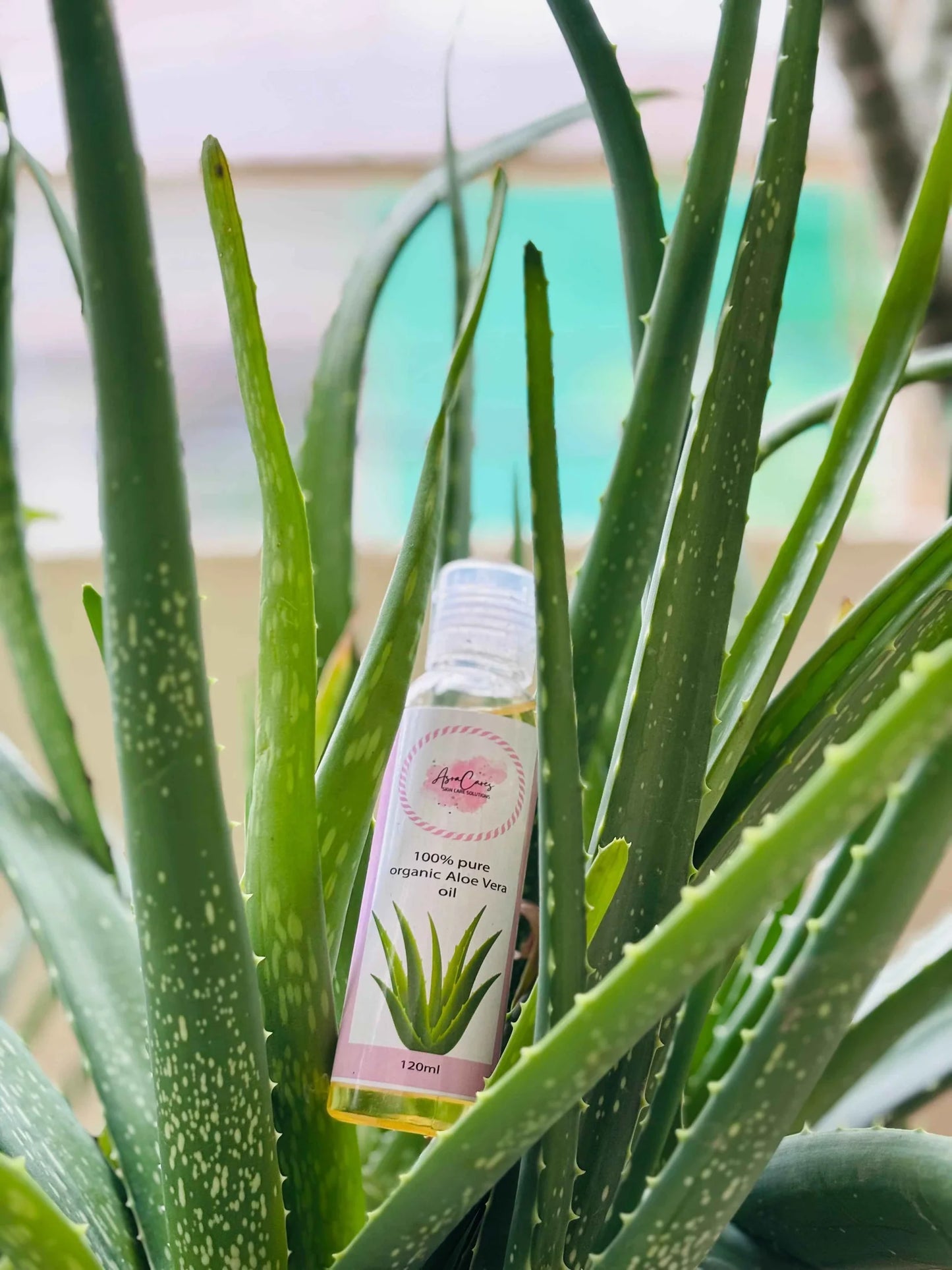 Asracare 100% Organic And Pure Oils